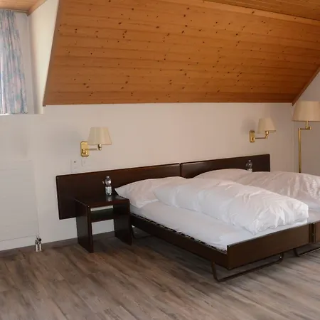 Hotel Loewen Bei Bern 3*