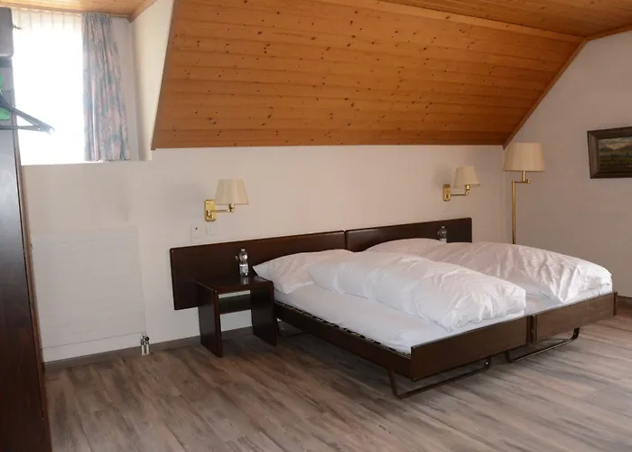 Hotel Loewen Bei Bern 3*