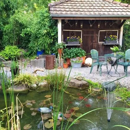 Löwen Bei Bern Hotel 3*