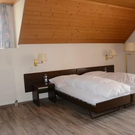 Hotel Löwen Bei Bern